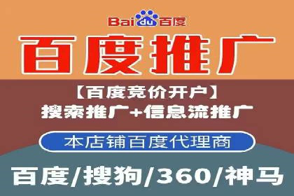 百度竞价排名策略解析：一家公司的广告投放策略全揭秘